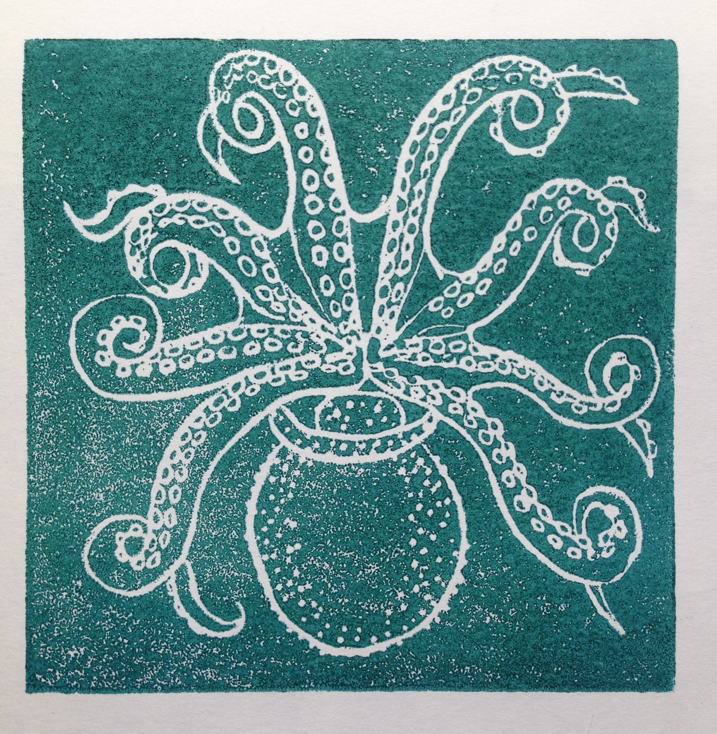 Oktopus